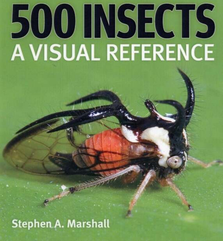500 Insects av Stephen A. Marshall