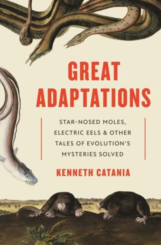 Great Adaptations av Kenneth Catania