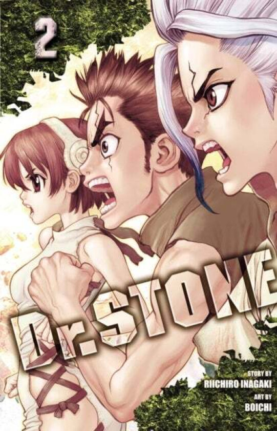 Dr. STONE, Vol. 2 av Riichiro Inagaki