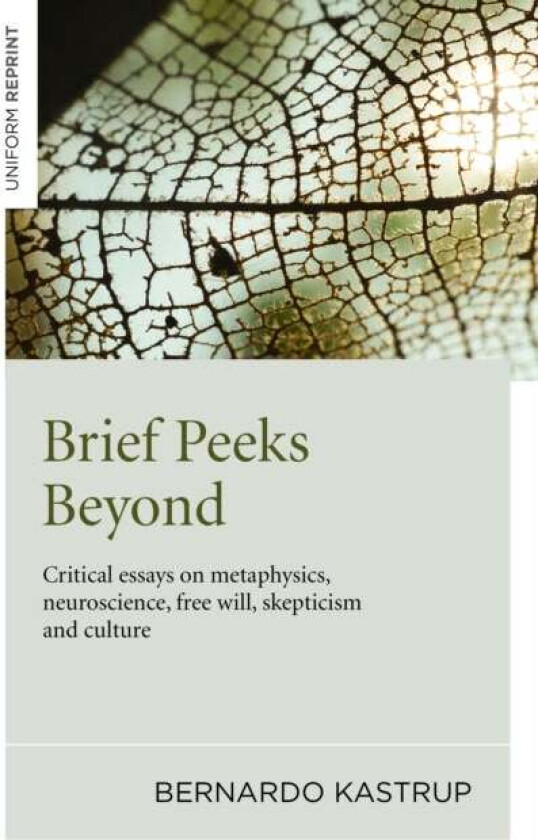 Brief Peeks Beyond av Bernardo Kastrup