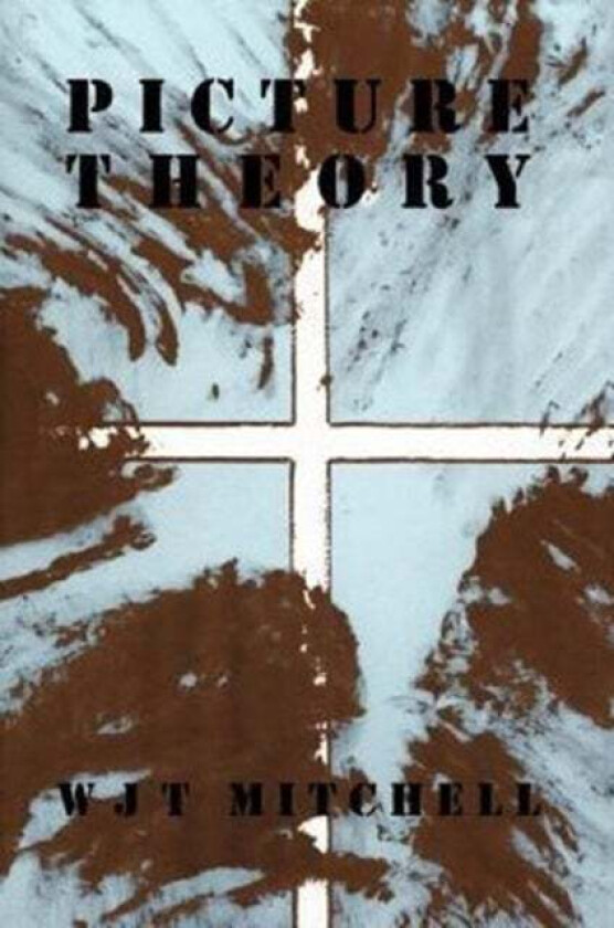 Picture Theory av W. J. T. Mitchell
