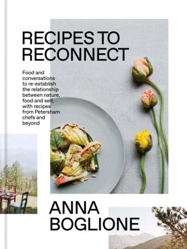 Recipes to Reconnect av Anna Boglione