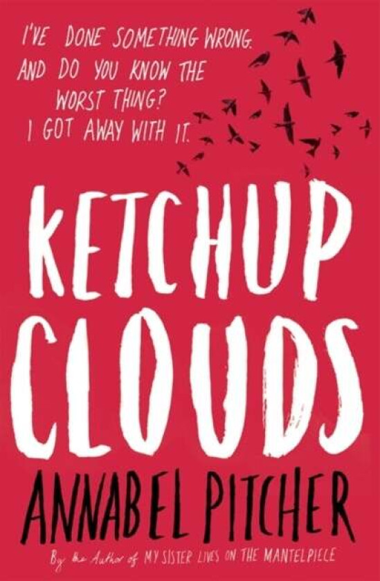 Ketchup Clouds av Annabel Pitcher