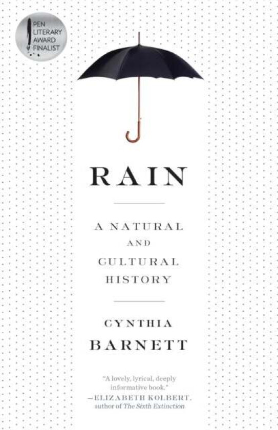 Rain av Cynthia Barnett