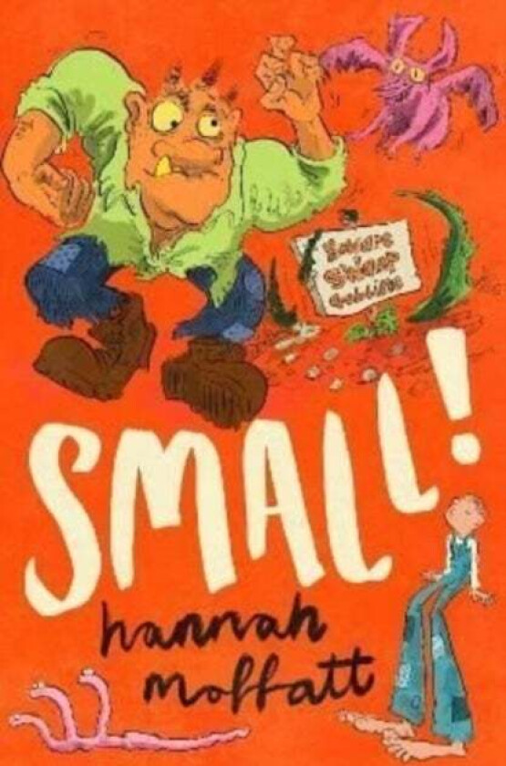 Small!: Sunday Times Best Books 2022 av Hannah Moffatt