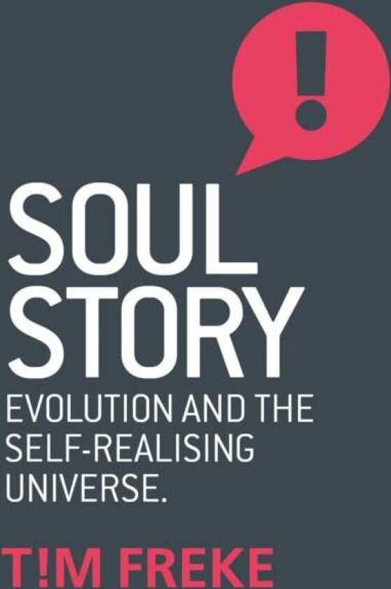 Soul Story av Tim Freke