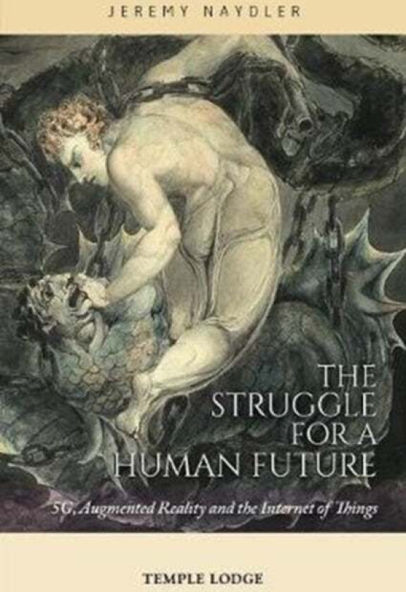 The Struggle for a Human Future av Jeremy Naydler