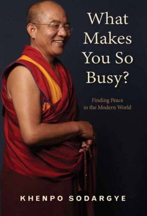 What Makes You So Busy? av Sodargye Khenpo