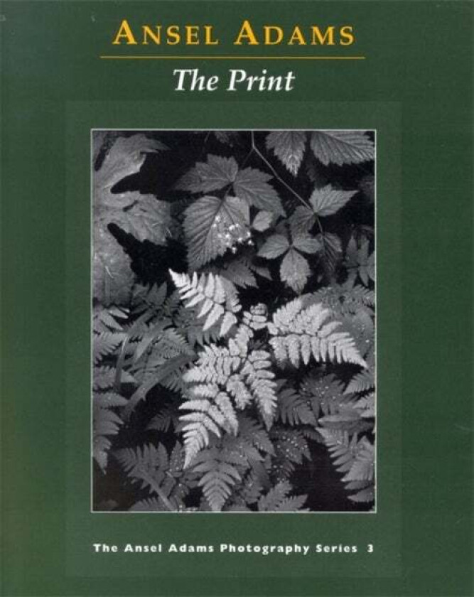 New Photo Series 3: Print av Ansel Adams