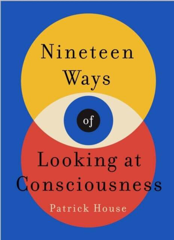 Nineteen Ways of Looking at Consciousness av Patrick House