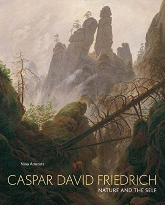 Caspar David Friedrich av Nina Amstutz