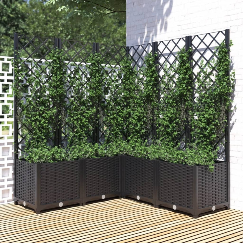 Plantekasse med espalier svart 120x120x136 cm PP