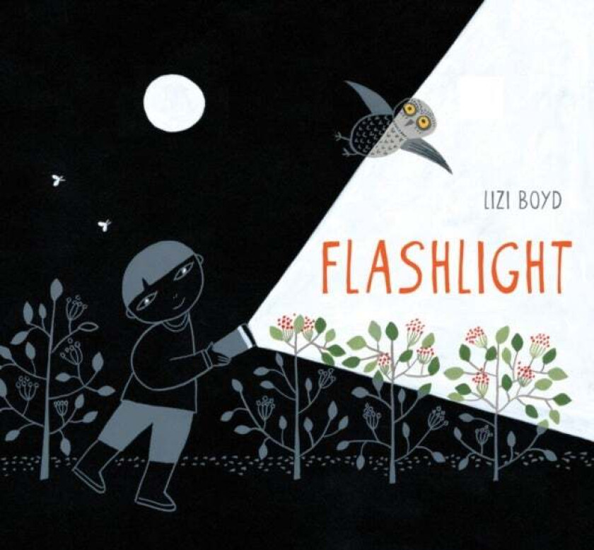 Flashlight av Lizi Boyd