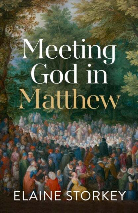 Meeting God in Matthew av Dr Elaine (Reader) Storkey