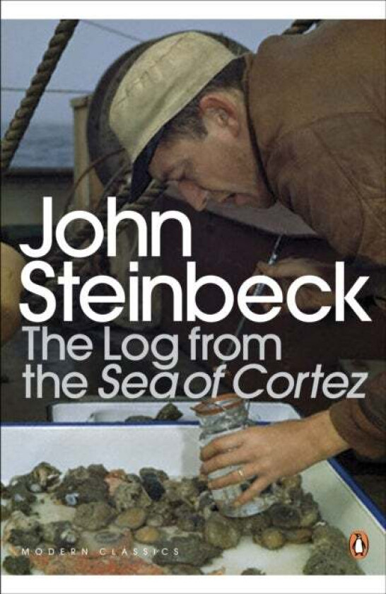 The Log from the Sea of Cortez av Mr John Steinbeck
