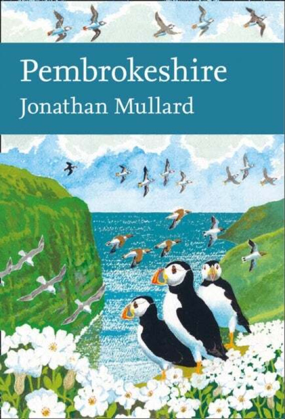 Pembrokeshire av Jonathan Mullard