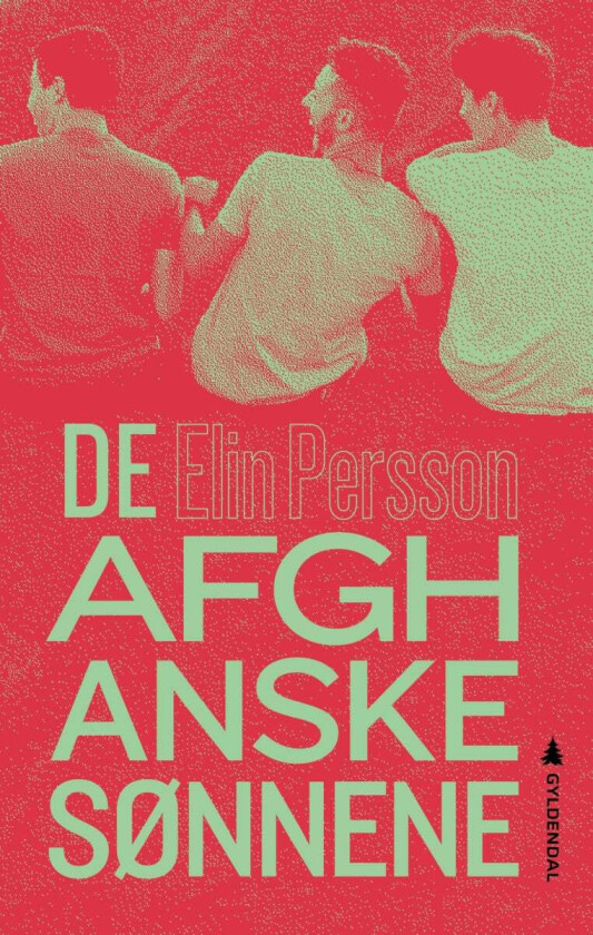 De afghanske sønnene av Elin Persson