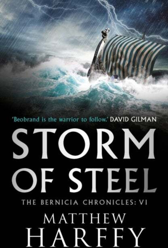 Storm of Steel av Matthew Harffy