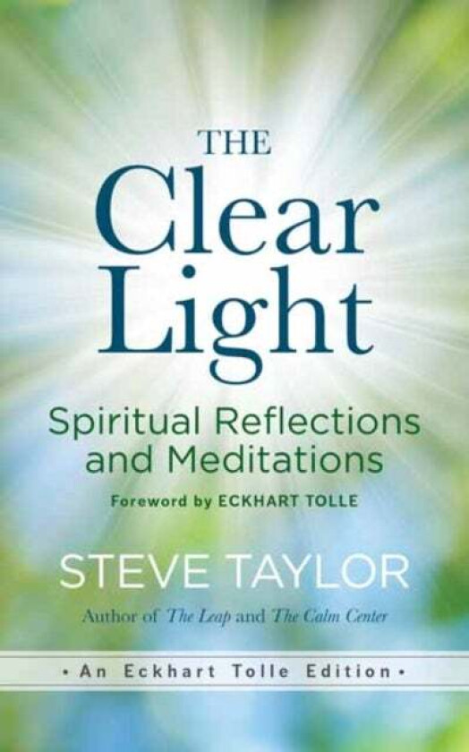 The Clear Light av Steve Taylor
