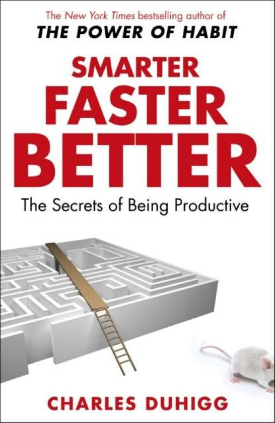 Smarter Faster Better av Charles Duhigg