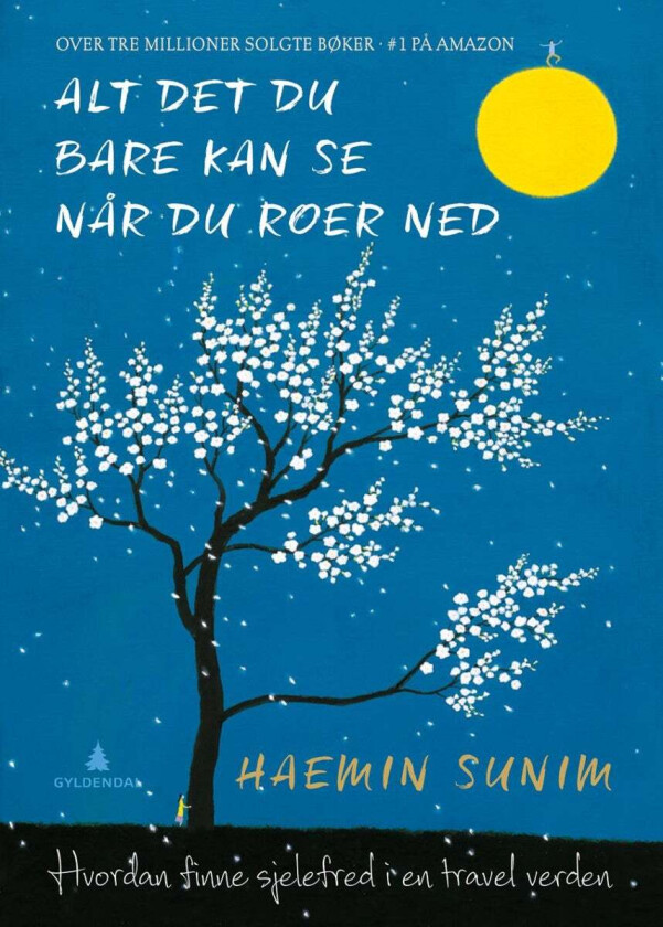 Alt det du bare kan se når du roer ned av Sunim Haemin