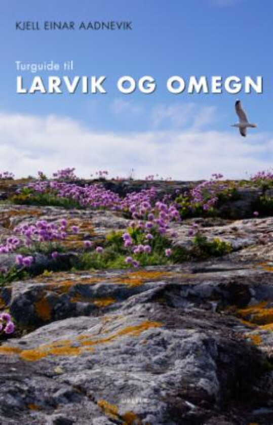 Turguide til Larvik og omegn av Kjell-Einar Aadnevik