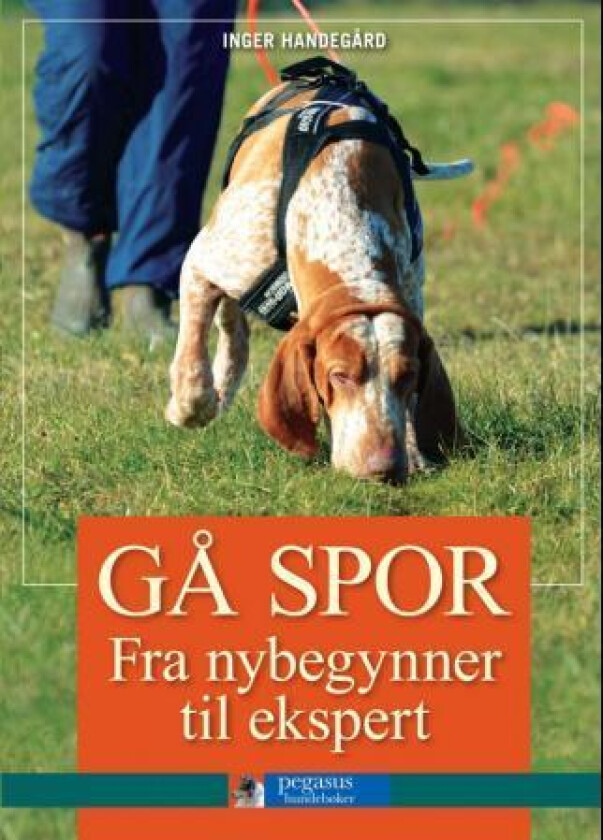 Gå spor av Inger Handegård