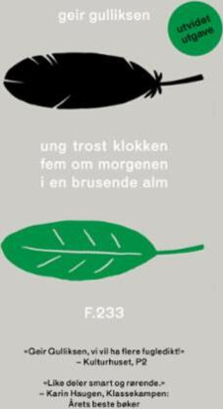 Ung trost klokken fem om morgenen i en brusende alm av Geir Gulliksen