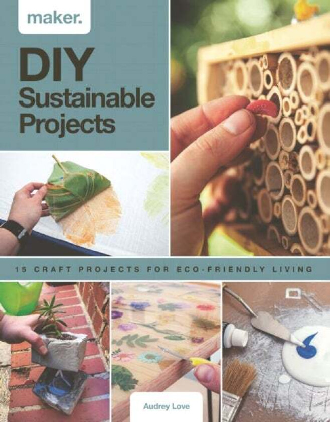 Maker.DIY Sustainable Projects av Audrey Love