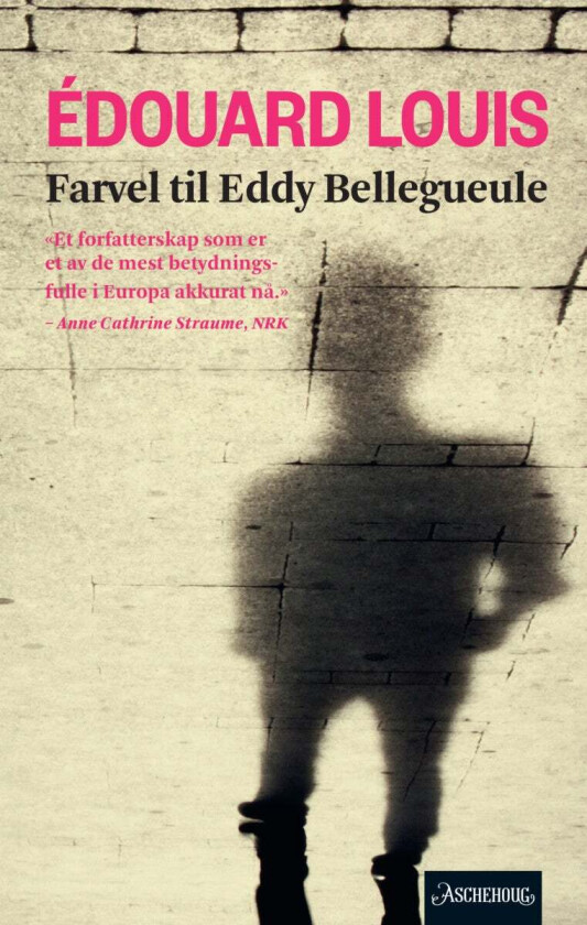 Farvel til Eddy Bellegueule av Edouard Louis