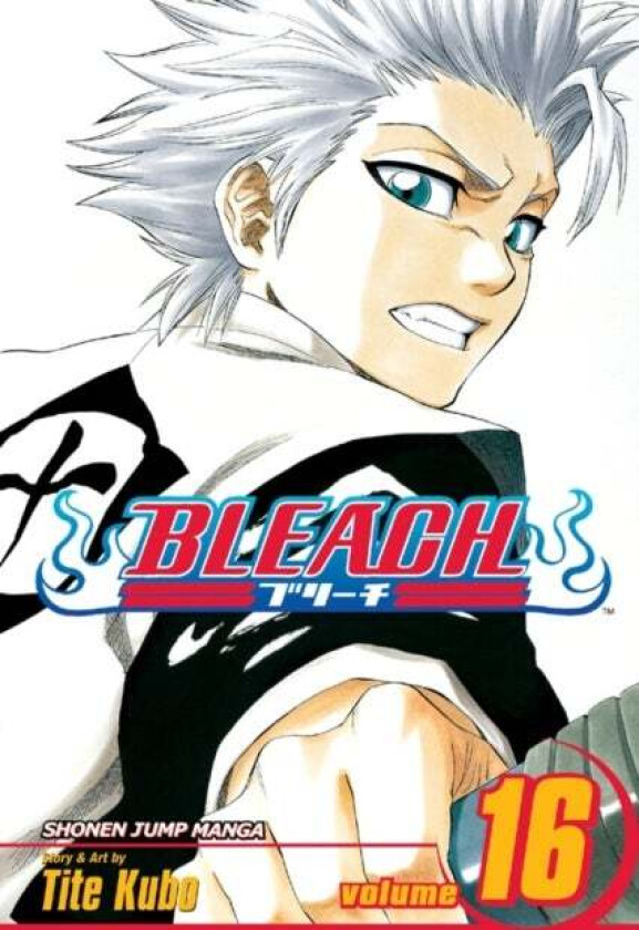 Bleach, Vol. 16 av Tite Kubo