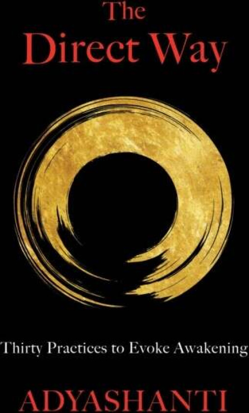 The Direct Way av Adyashanti Gray