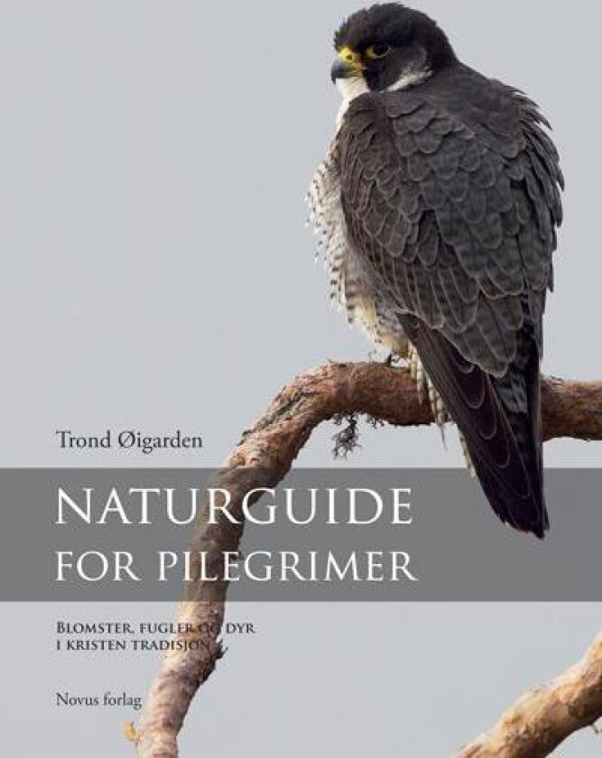 Naturguide for pilegrimer av Trond Øigarden