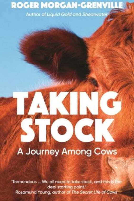 Taking Stock av Roger Morgan-Grenville