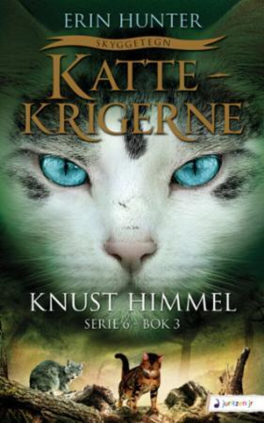 Knust himmel av Erin Hunter