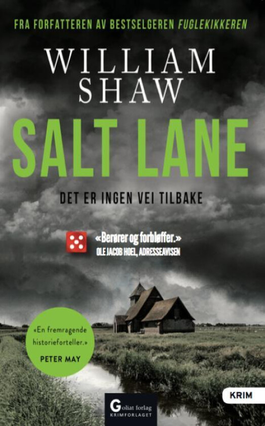 Salt Lane av William Shaw