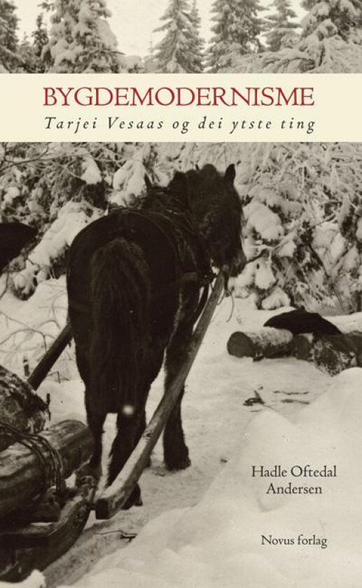 Bygdemodernisme av Hadle Oftedal Andersen