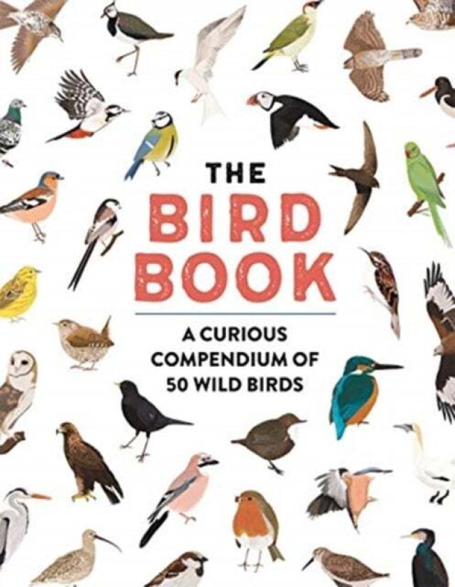 The Bird Book av Meriel Lland, Roxanne Furman