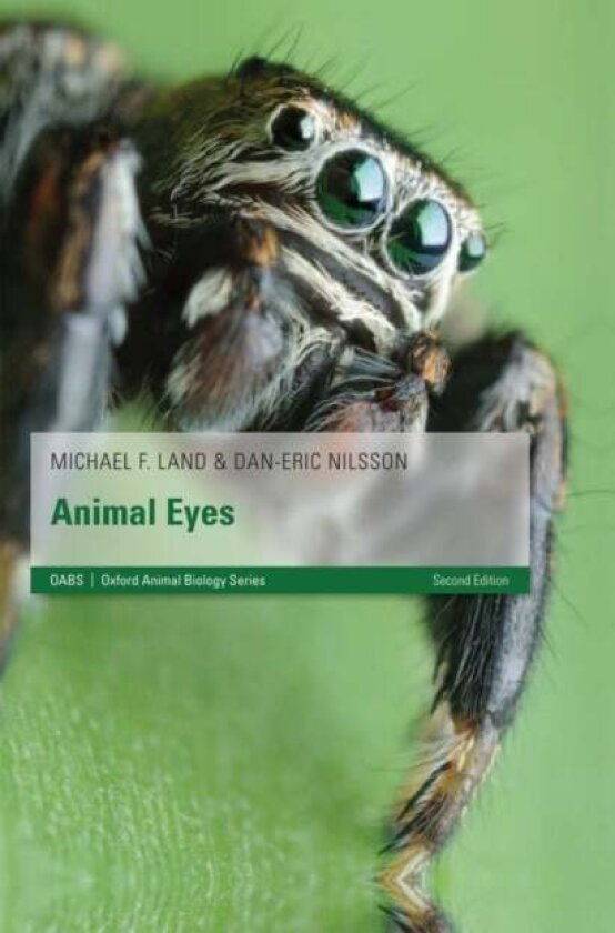 Animal Eyes av Michael F. (Professor of Neurobiology University of Sussex UK) Land, Dan-Eric (Professor of Zoology University of Lund Sweden) Nilsson