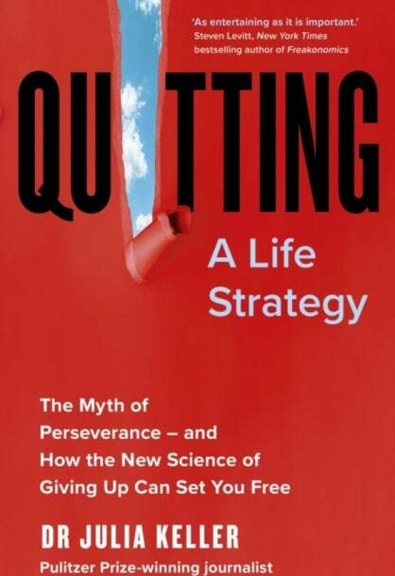 Quitting av Julia Keller