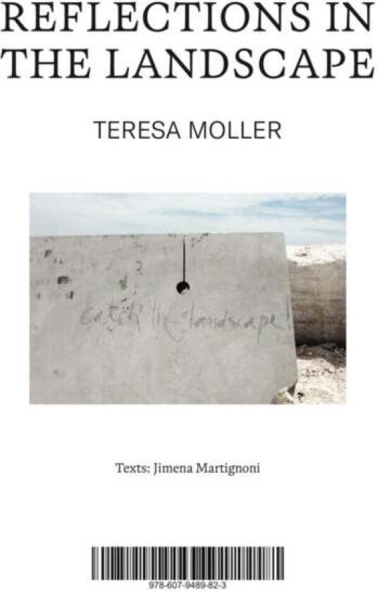 Teresa Moller: Reflections in the Landscape