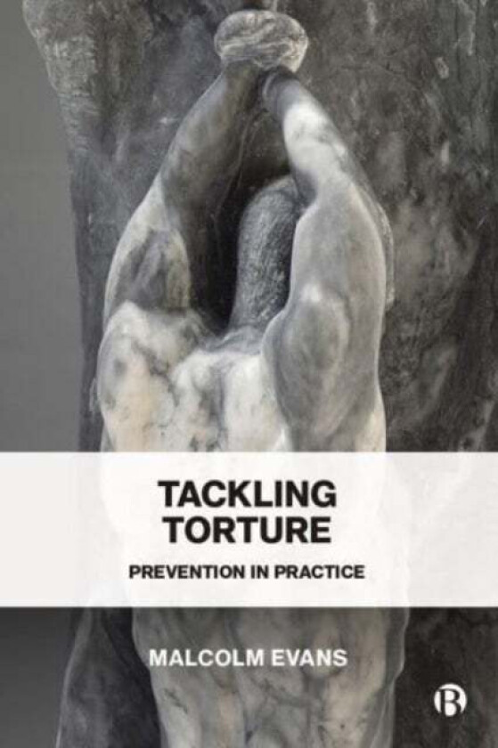 Tackling Torture av Malcolm D. (Regent's Park College Oxford) Evans
