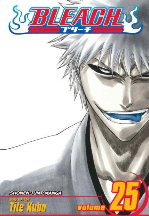 Bleach, Vol. 25 av Tite Kubo