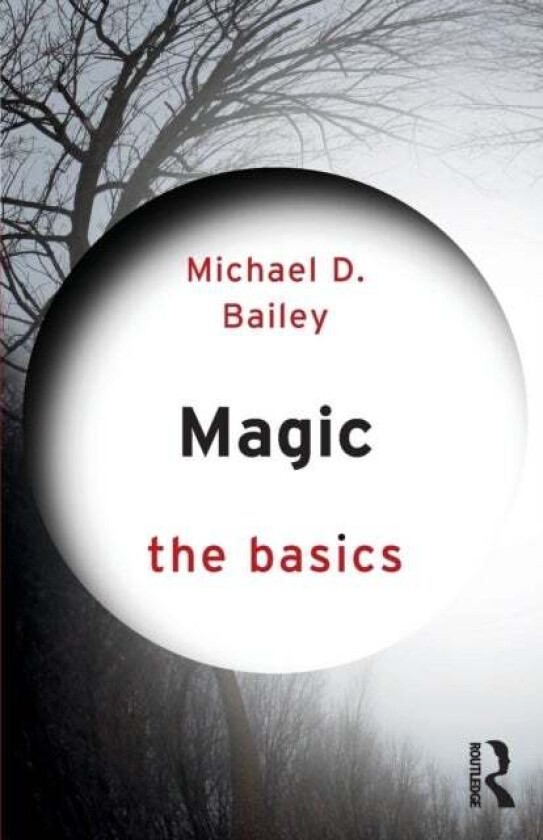 Magic: The Basics av Michael D. Bailey