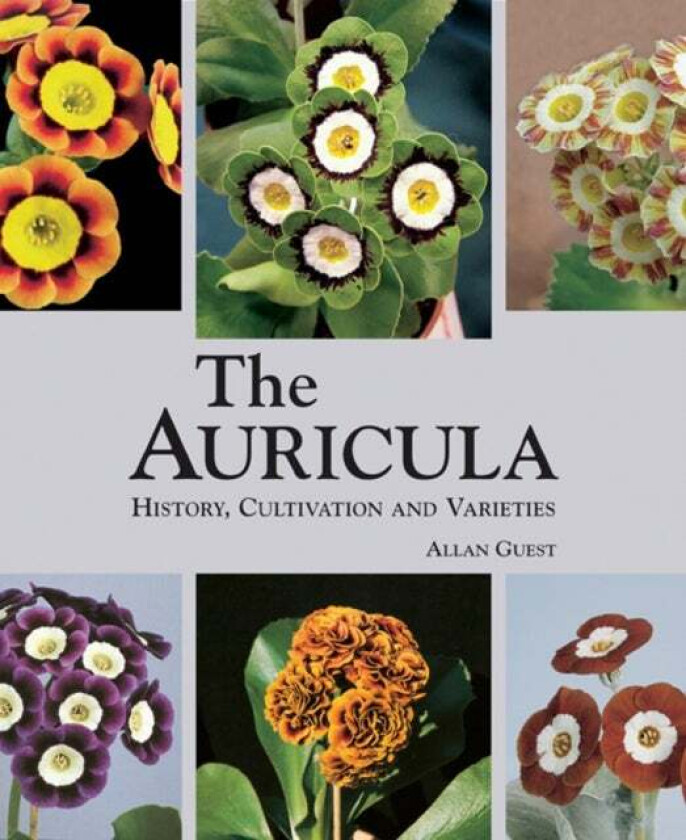 Auricula: History, Cultivation and Varieties av Allan Guest