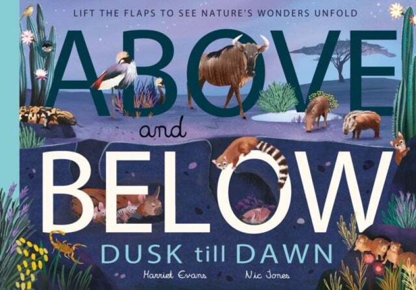 Above and Below: Dusk till Dawn av Harriet Evans