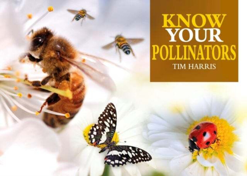 Know Your Pollinators av Tim Harris