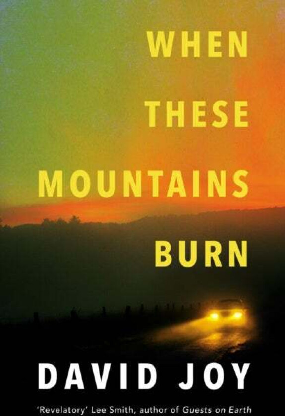 When These Mountains Burn av David Joy