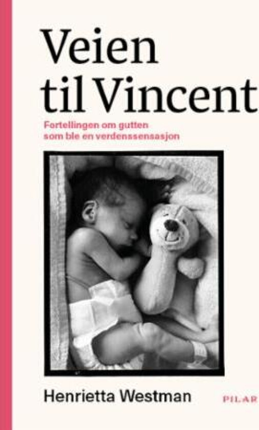 Veien til Vincent av Henrietta Westman