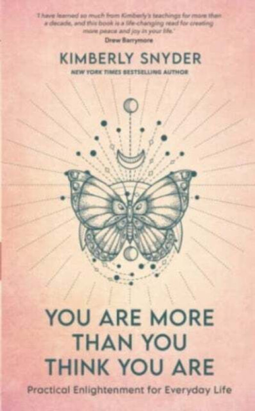 You Are More Than You Think You Are av Kimberly Snyder